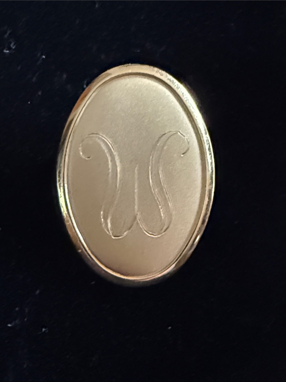 Vintage Gold tone W Initial Brooch Pin